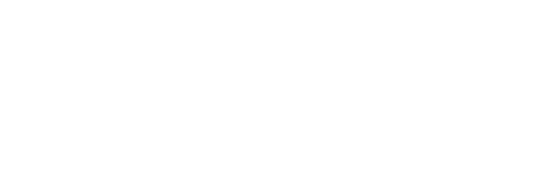 Visa White Brand Mark logo